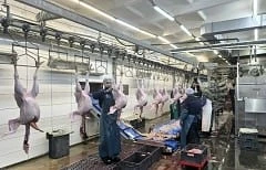 🦃 Гирфанов на Лениногорской птицефабрике  Марат Гирфанов вместе с Наилем Залаковым оценил результаты