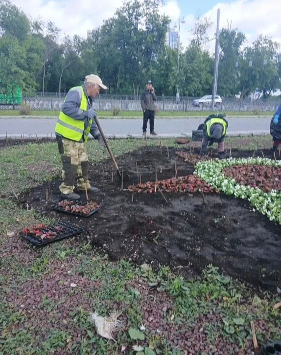 МБУ «Зеленстрой» приступил к плановому формированию наших городских цветников. 🌸⁣
🌳Специалисты уже