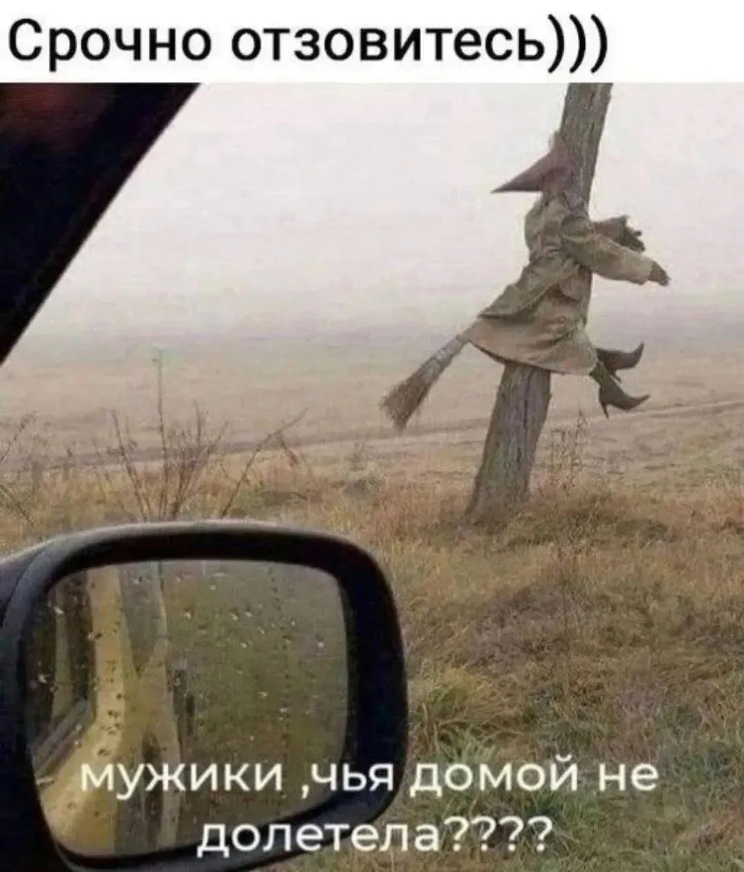 👉 Анекдоты в MAX