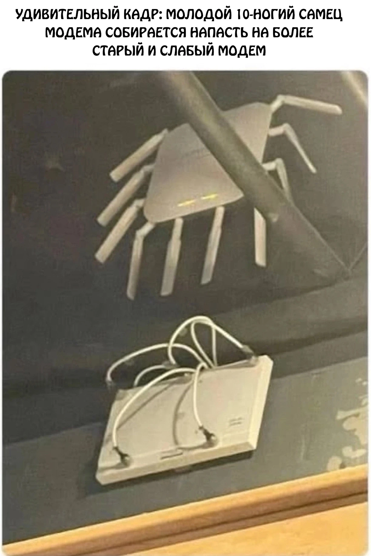 😂😂😂