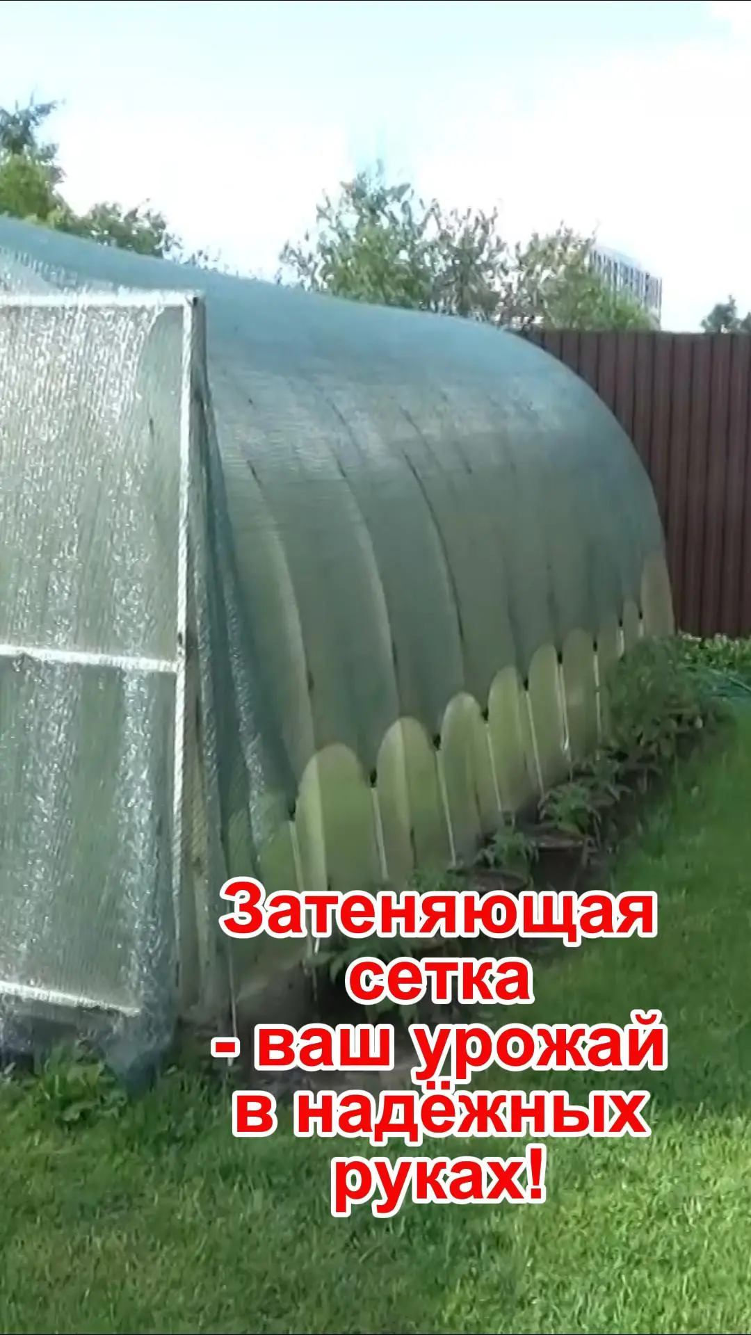 https://vkvideo.ru/clip-101079042_456240872?sh=4 Перейти на Ozon: [контакт скрыт]
В теплице жарче вд