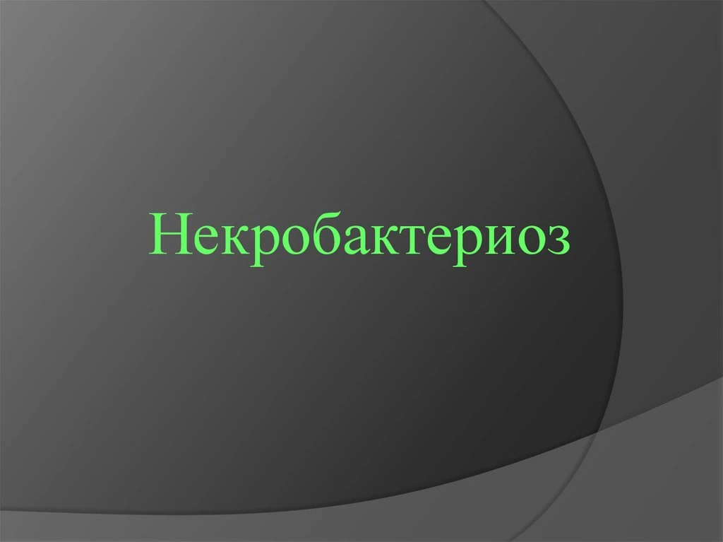 стя 3–5 дней.