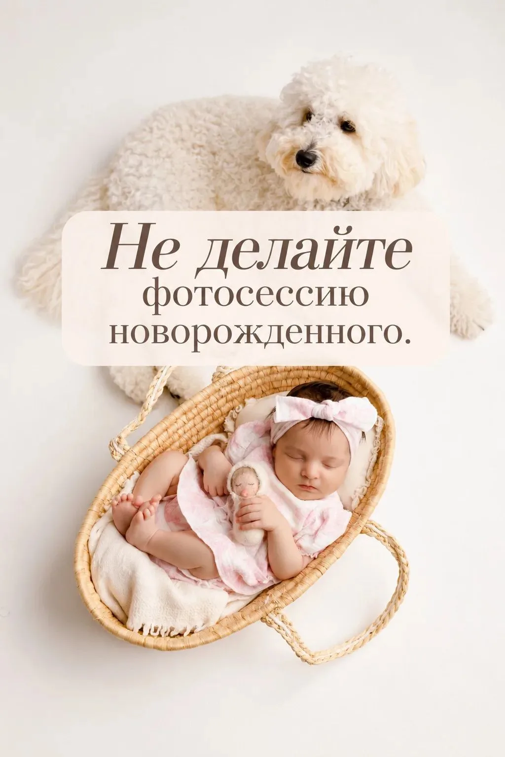 ‎Вы можете не делать фотосессию новорождённого ❌ Правда.
