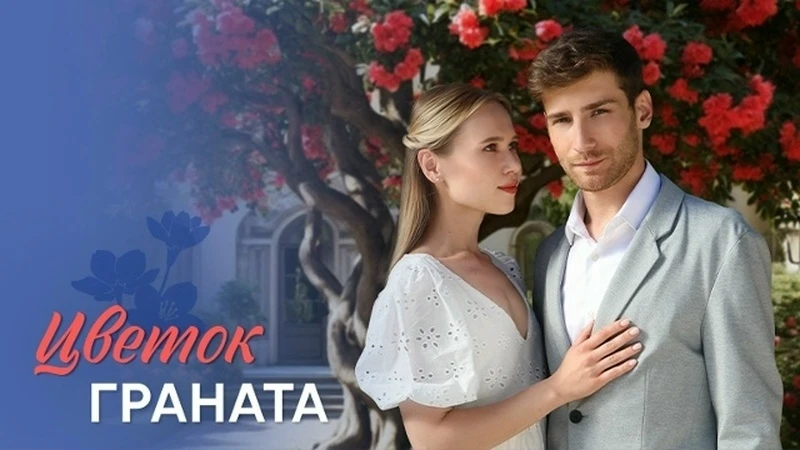 Цветок граната.  (2026)  1-4 серии 8  Жанр: #мелодрама   Сюжет: Настя — дочь знаменитого нейрохирург