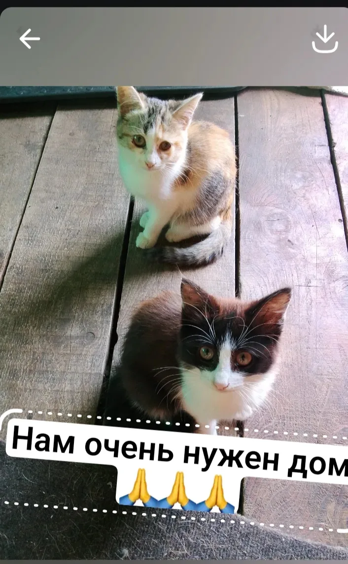 Заботливые руки 🙏 89960587758