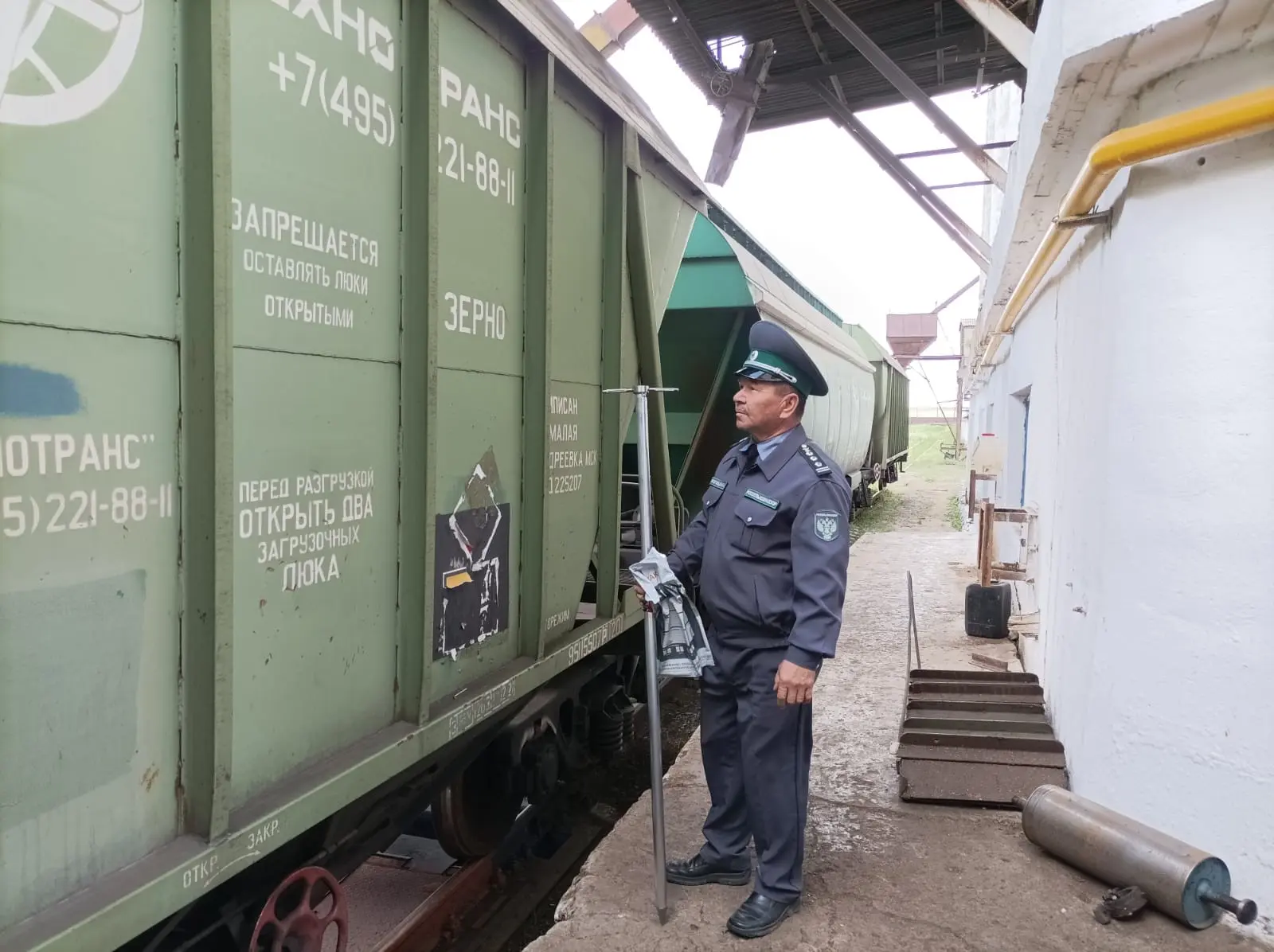 Россельхознадзор проконтролировал более 5,5 тысяч тонн продовольственной пшеницы, экспортированной Б