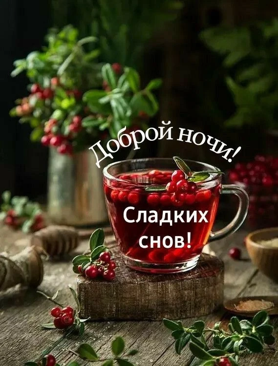 МОИ ОТКРЫТКИ 💌
