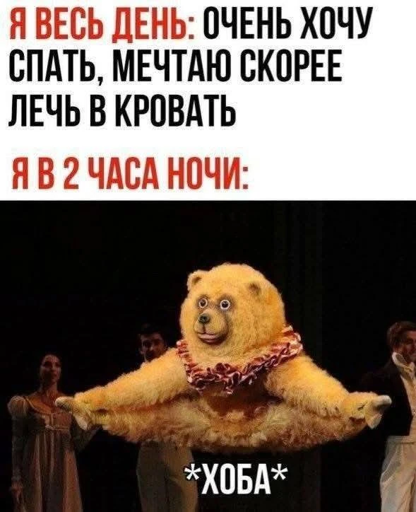 🦊 Весёлые Картинки  !