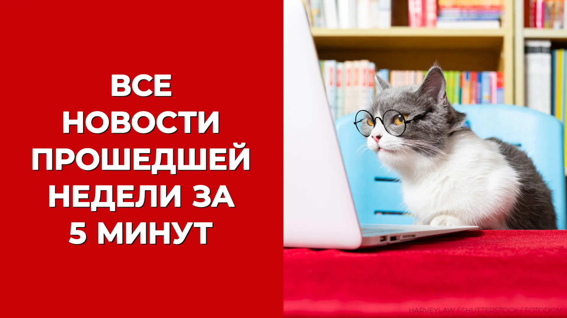 🔴 О новом правиле уплаты налогов