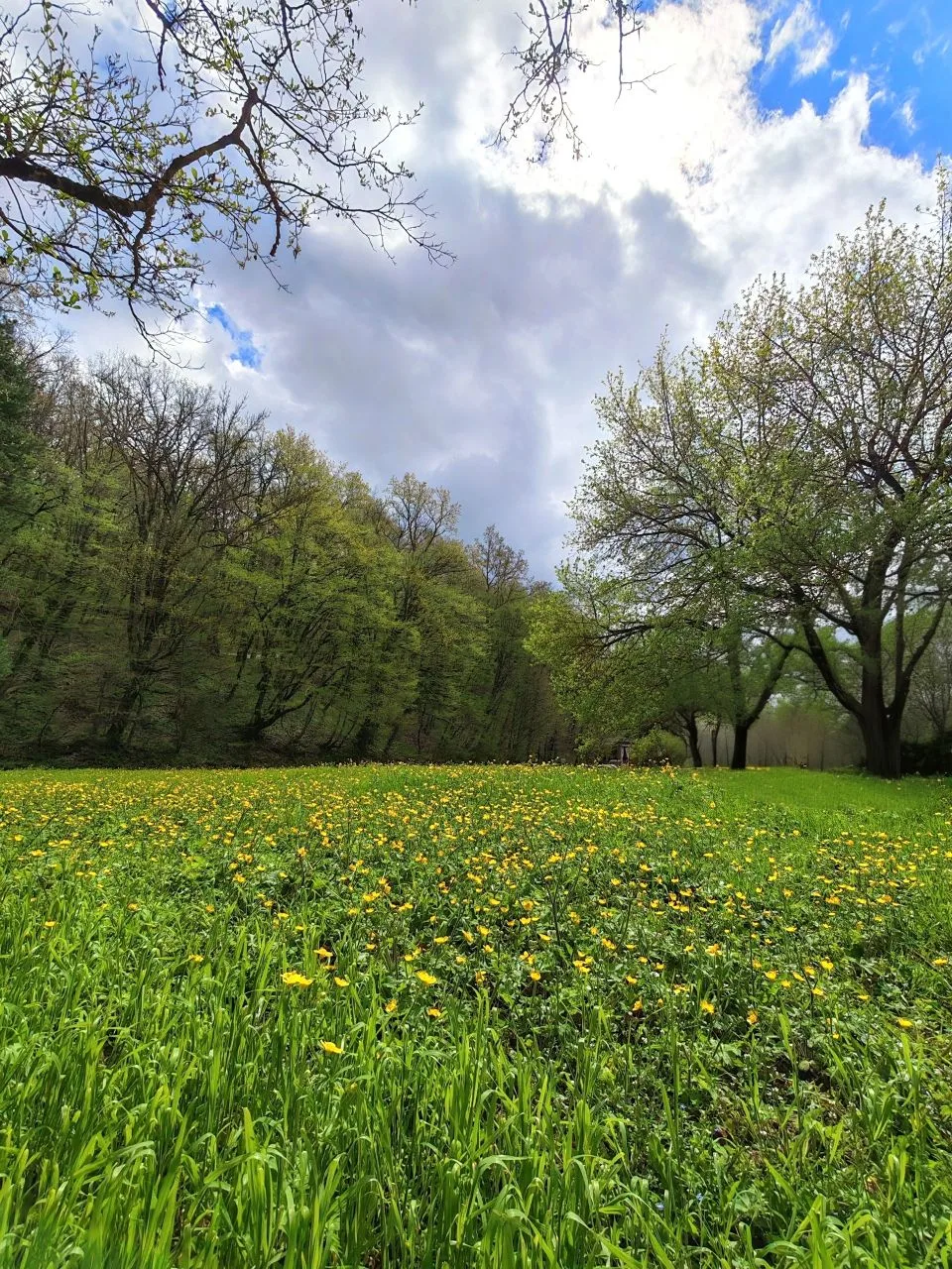 С каждым днём природа в Горячем Ключе расцветает, становится ярче, согревая своими красками даже в э
