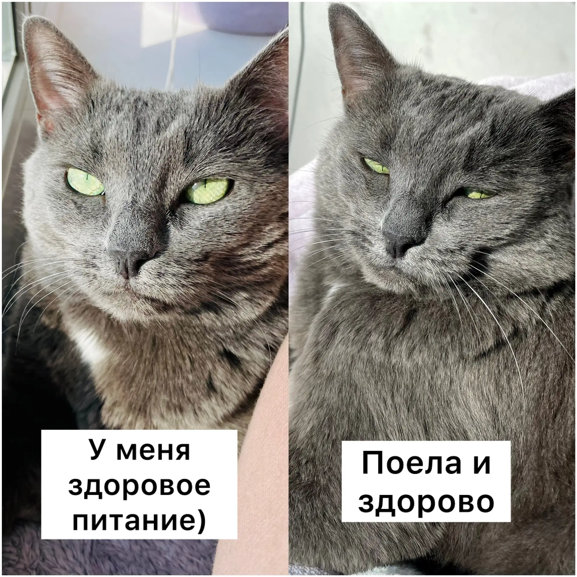 И снова об актуальном😸