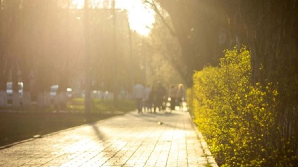 Октябрь в Краснодаре будет теплым ☀️