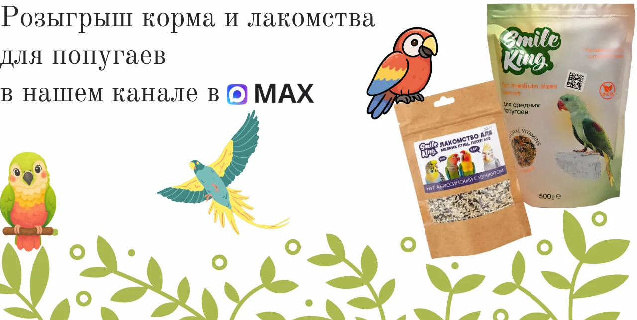 🎒🦜 1 СЕНТЯБРЯ — ВРЕМЯ СОБИРАТЬСЯ В ШКОЛУ!