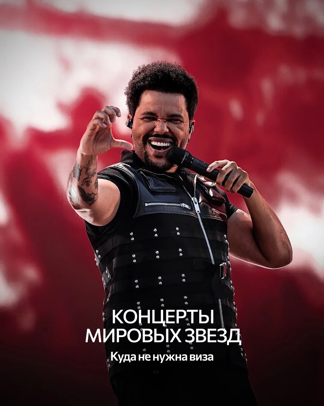 Похоже, это отличный повод спланировать незабываемый отпуск🌍