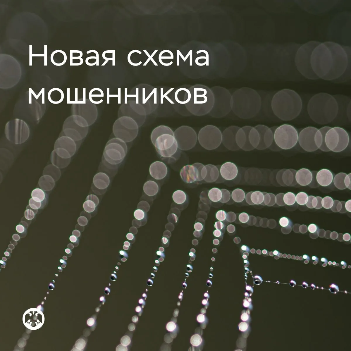 ⚠️ Новая схема обмана — «замена счета в Центробанке»