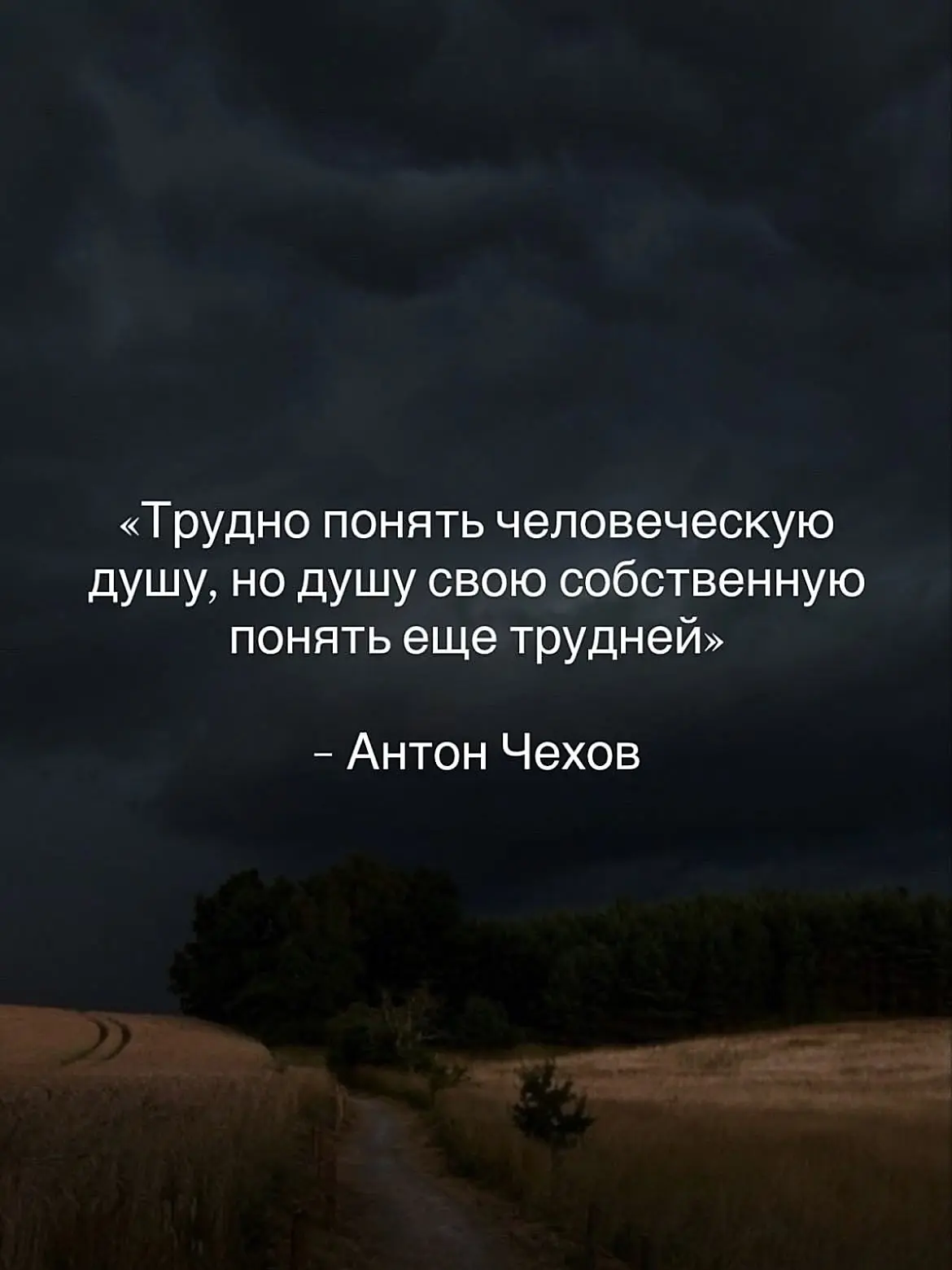 Мудрость слов | цитаты Мудрость слов | цитаты