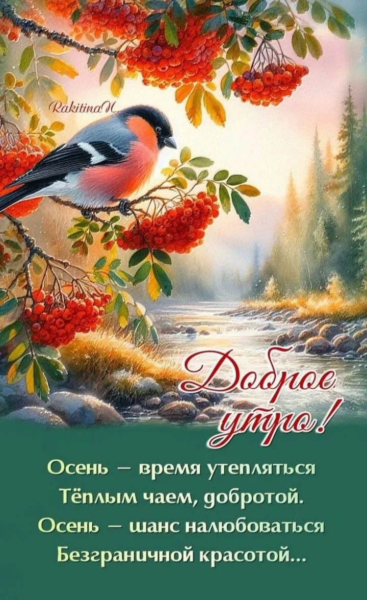 Изображение 1 к публикации «Красивые открытки в MAX»
