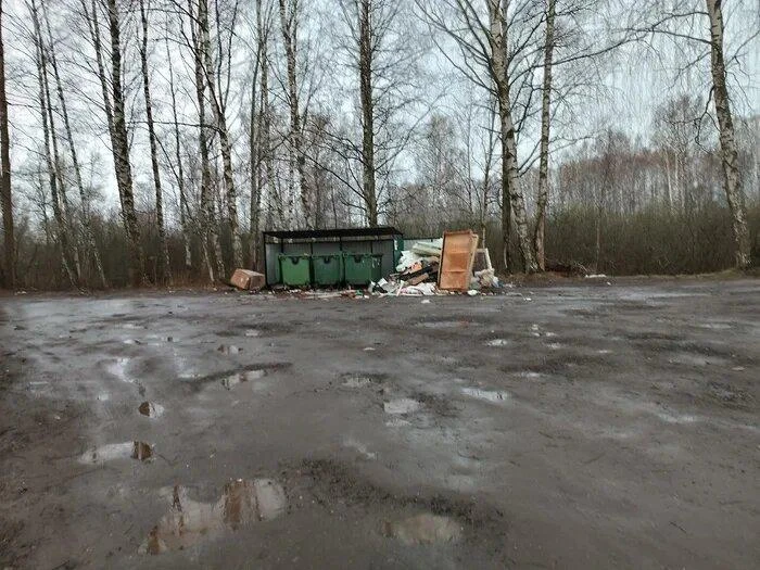 Женщина отказалась платить за вывоз мусора, потому что контейнер стоял в 830 метрах от ...