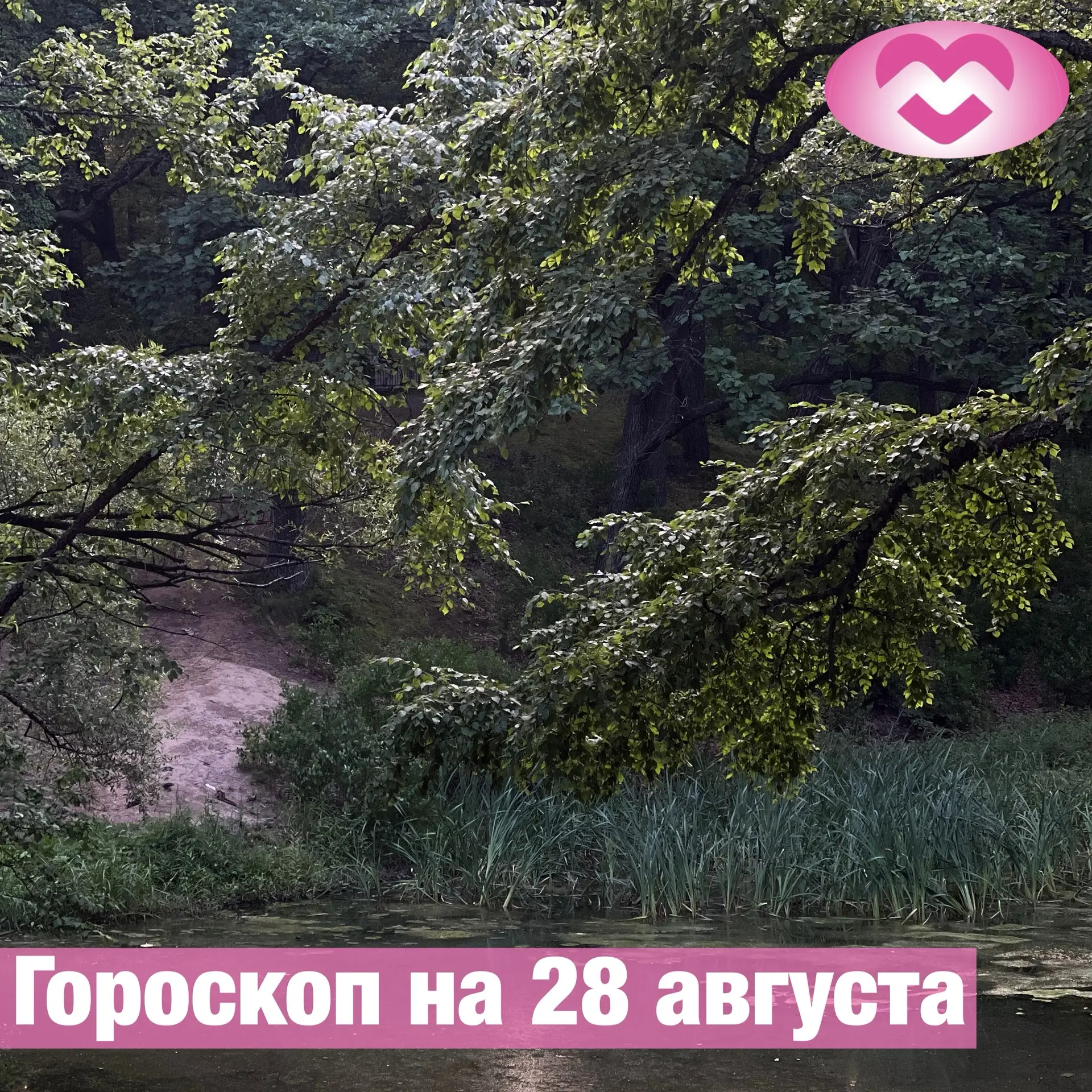 ♈ Овен