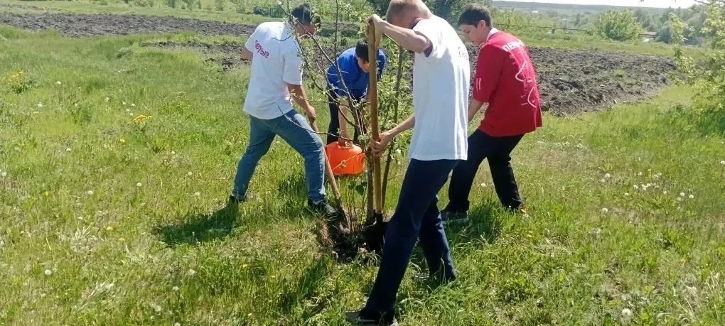 🌳Обучающиеся нашей школы присоединились к Всероссийской акции "Сад - связь поколений".