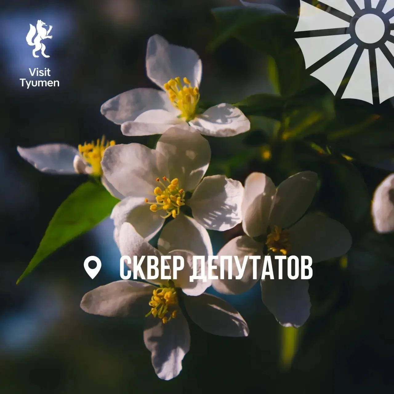 🌸 Хотим утопать в цветах!  На деревьях уже созревают цветы, а мы давно созрели для весенних фотосесс