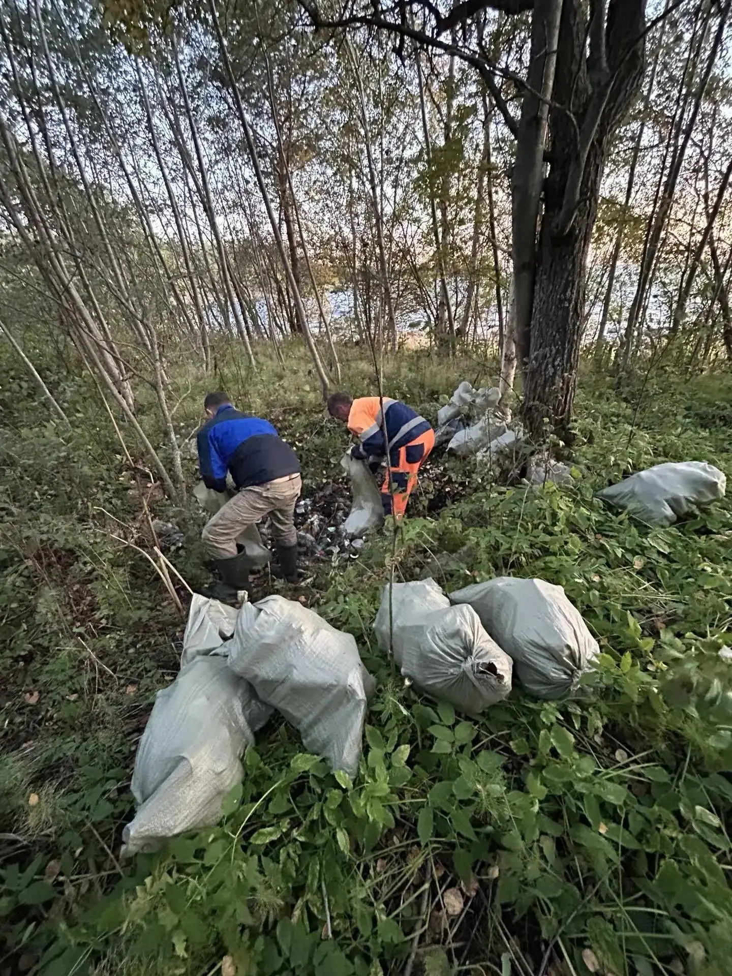 🍀👏 В четырёх районах Карелии очистили берега водоёмов от мусора
