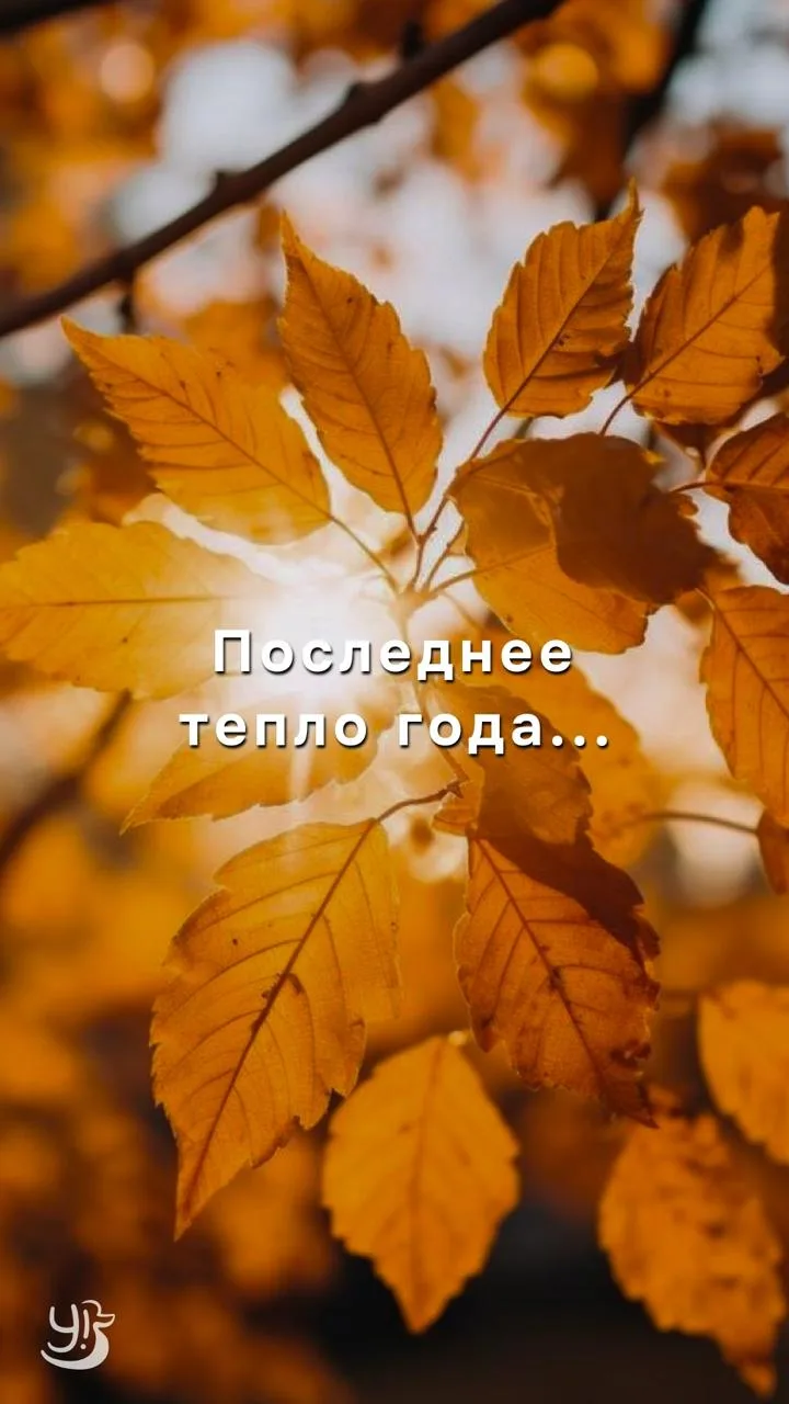 Тёплые обои на осень 🍁