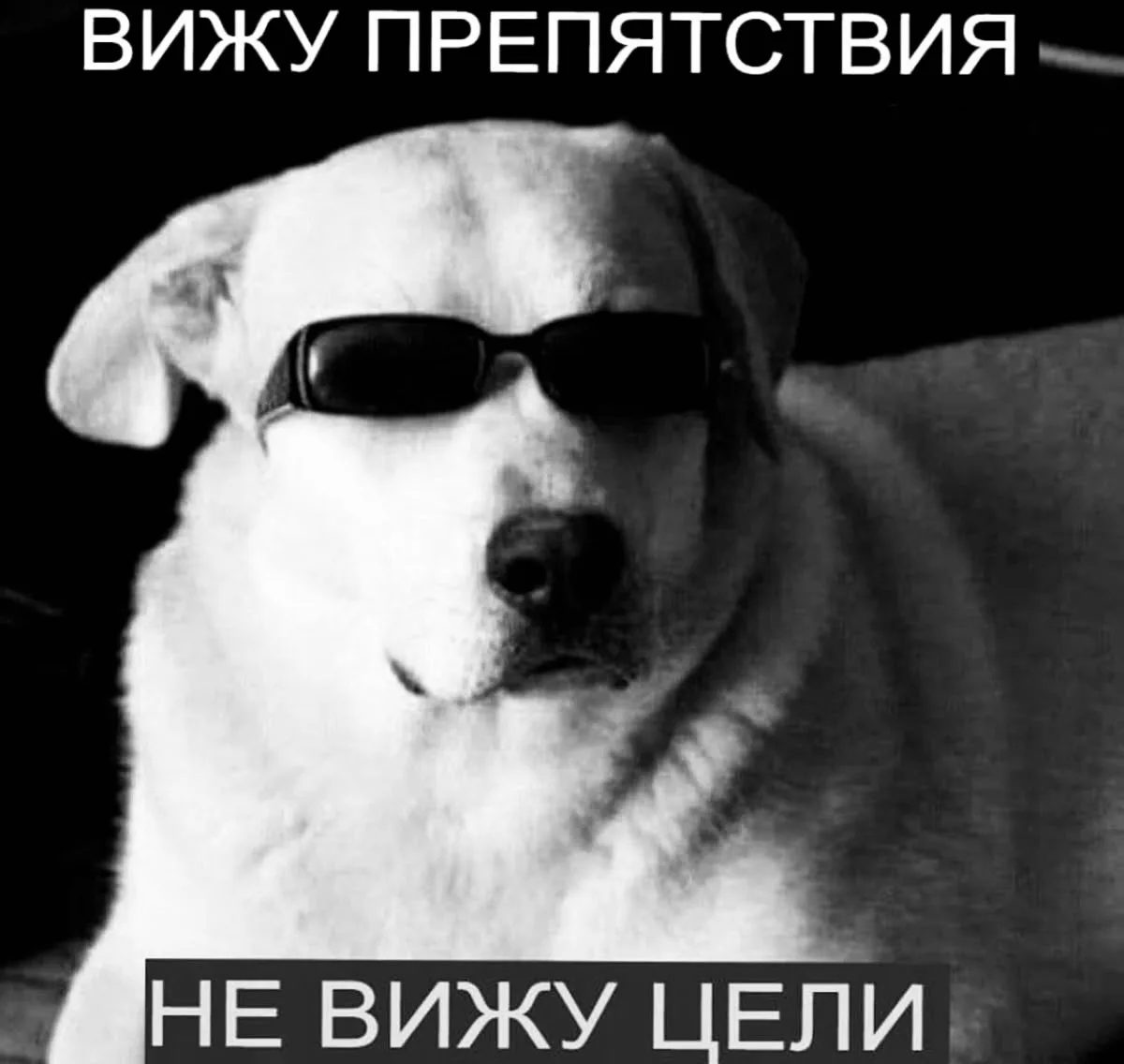 Каждый из нас неосознанно выбирает цели, которые подтверждают наше глубинное убеждение ...