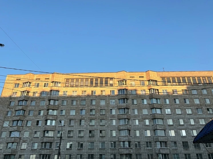 Крысы в подъезде дома на Воскресенской ⚠