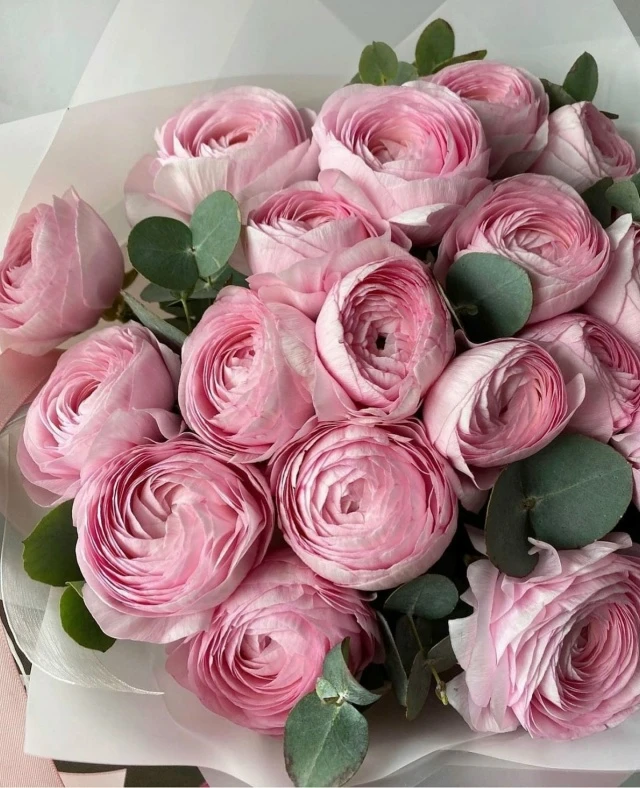💐Сегодня День рождения отмечают медицинская сестра врача общей практики Ципьинской врачебной амбула