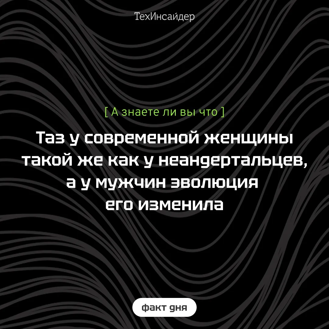 Исследование ученых из Тель-Авивского университета показало, что женский таз во многом ...