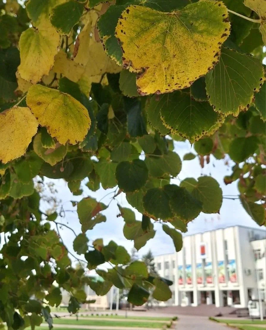 В объективе - новый день