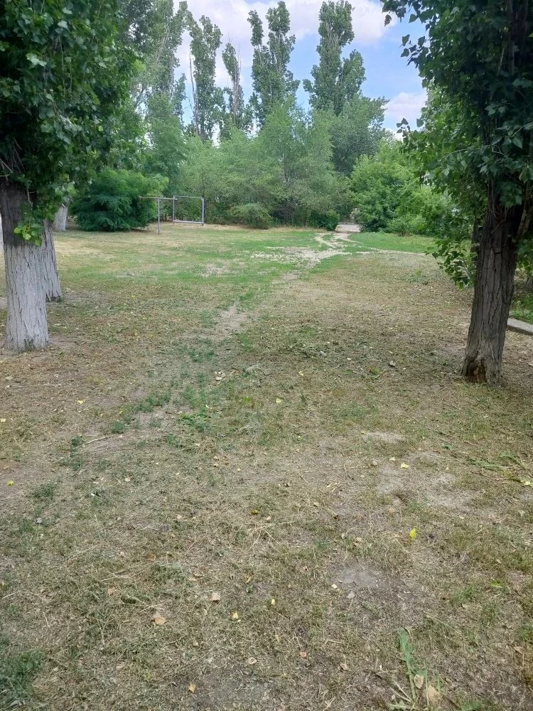Покос травы ул Академика Королева, 5