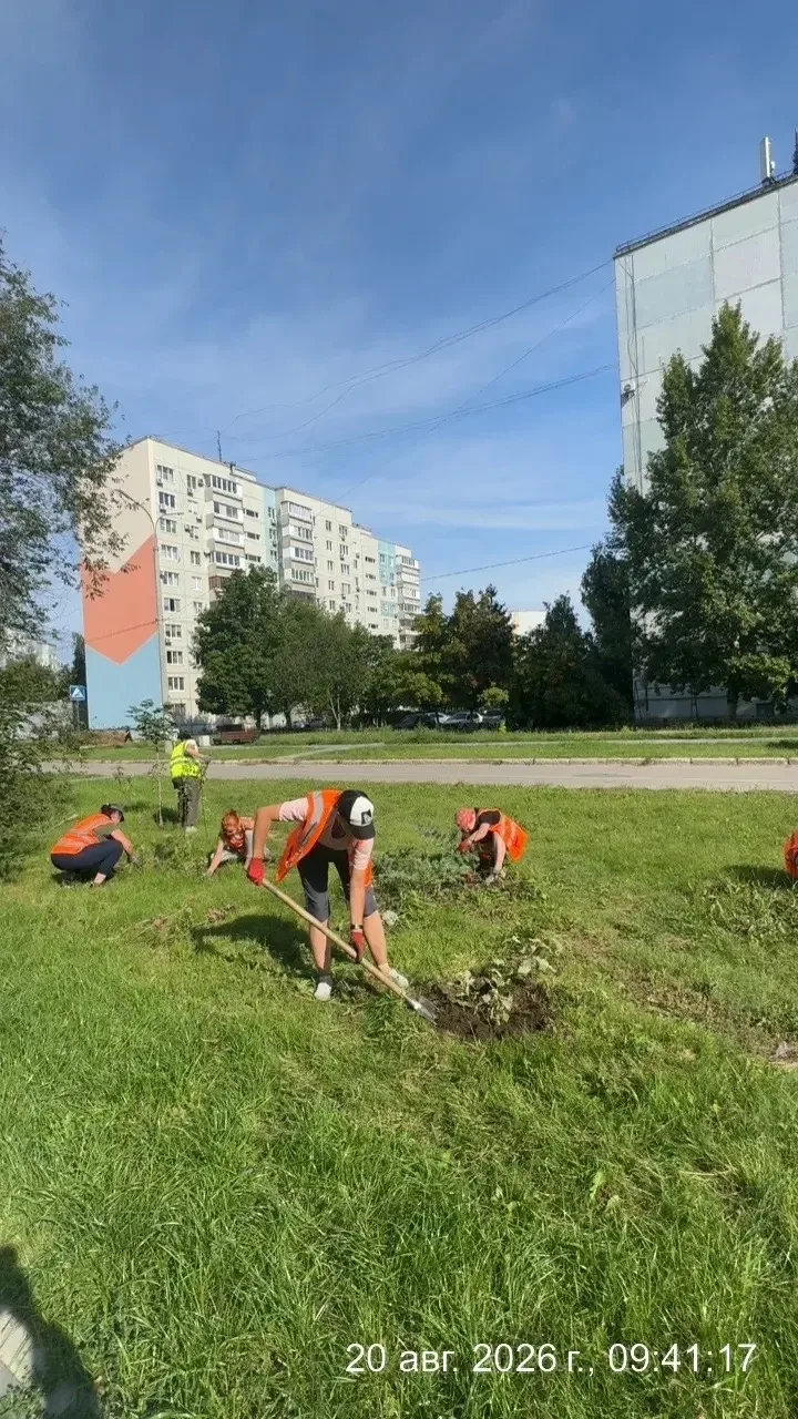 Работаем для города каждый день! 🌿