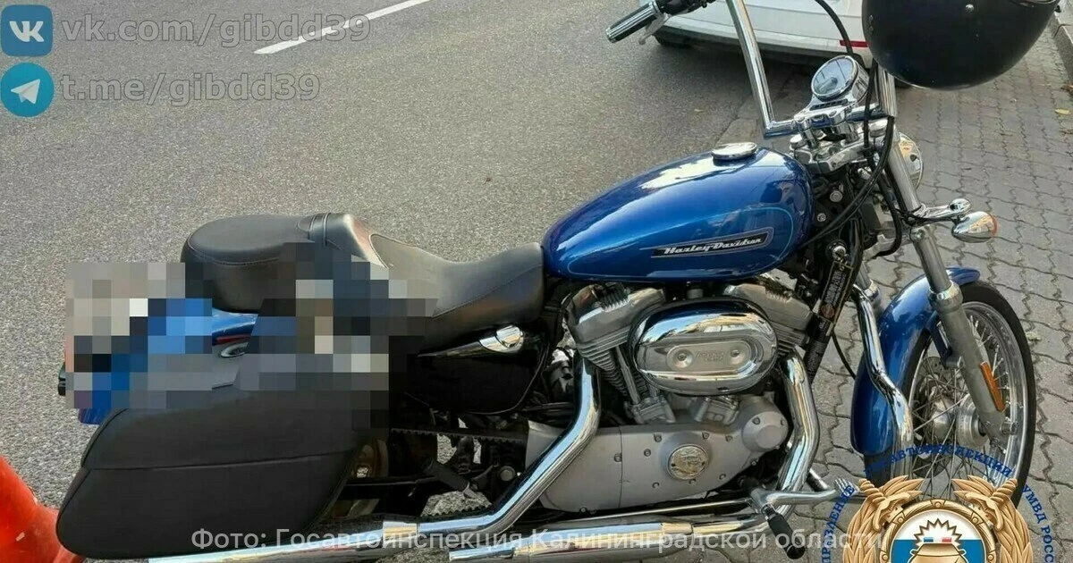 🏍Байкер на Harley-Davidson сбил женщину на «зебр» в Калининграде