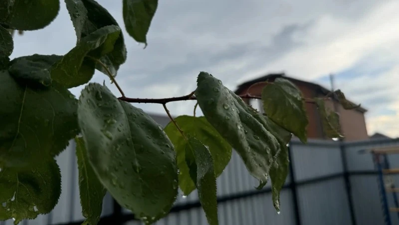 🌧️ 17 июня астраханцев ждут кратковременные дожди

По данным Астраханского ЦГМС, на территории обла