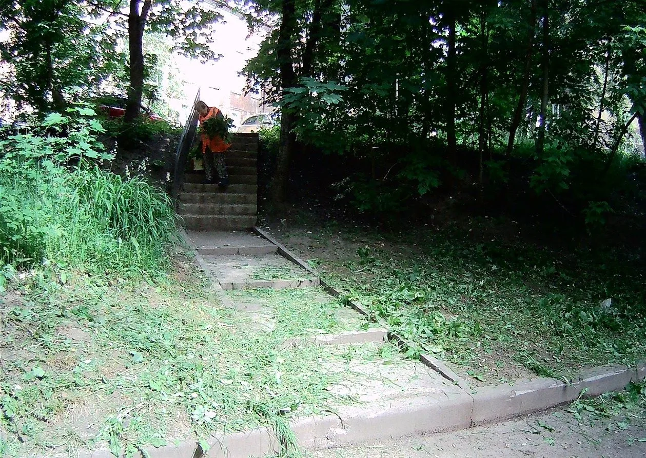 Работаем в смоленских дворах! 🌿 
 
🌱 Наша управляющая компания держит процесс на контроле: дворник