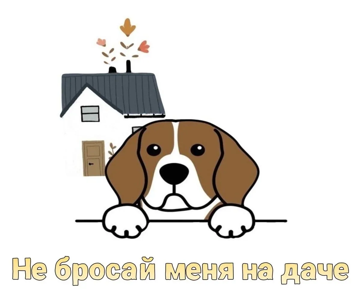 Стартовала зоозащитная акция «Не бросай меня на даче» 🐈

Она продлится с 1 июня по 30 сентября.

В 