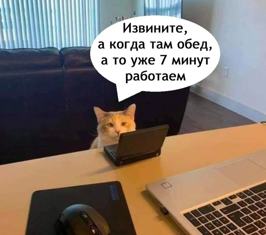 😁Блестящая новость для тех, кто не любит расставаться со своим питомцем