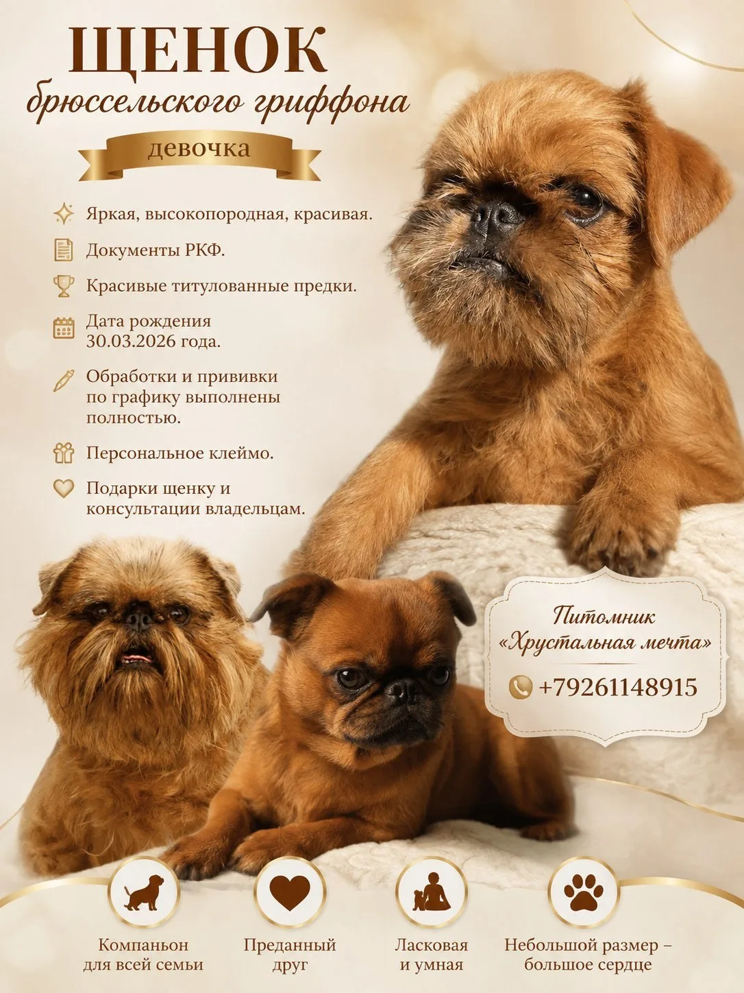 ⚡Щенки ⚡Продажа