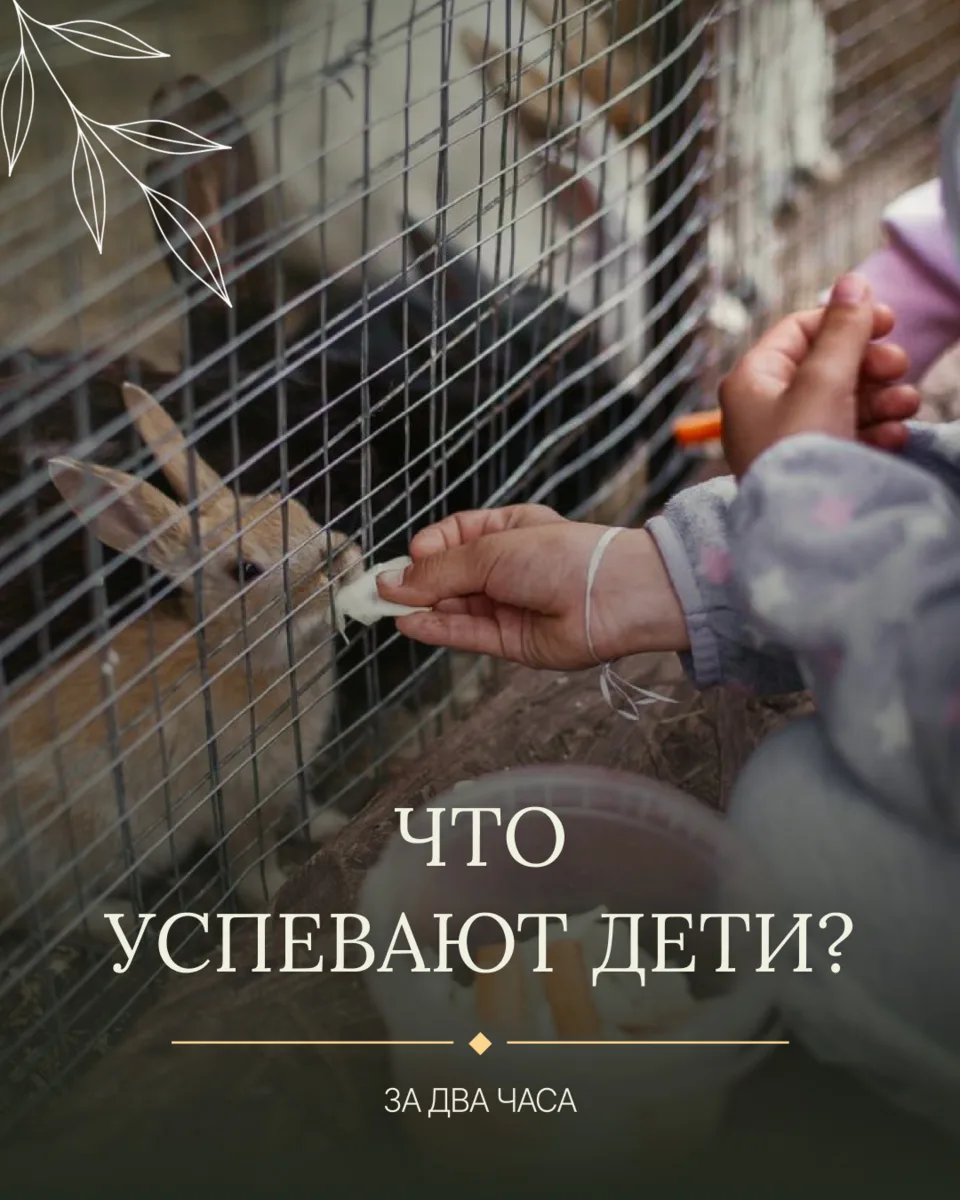 На усадьбе появился новый квест - «Деревенский движ». Это два часа настоящей деревенско...
