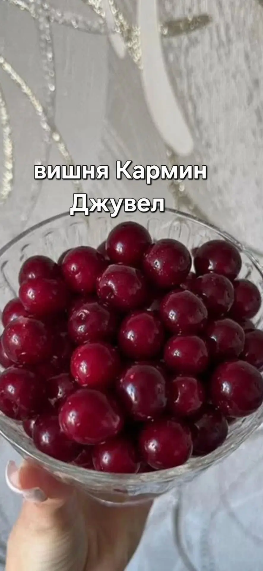Моя переписка с Николь из Прокопьевска ,Кемеровской области .Я очень просил её прислать фото и  напи