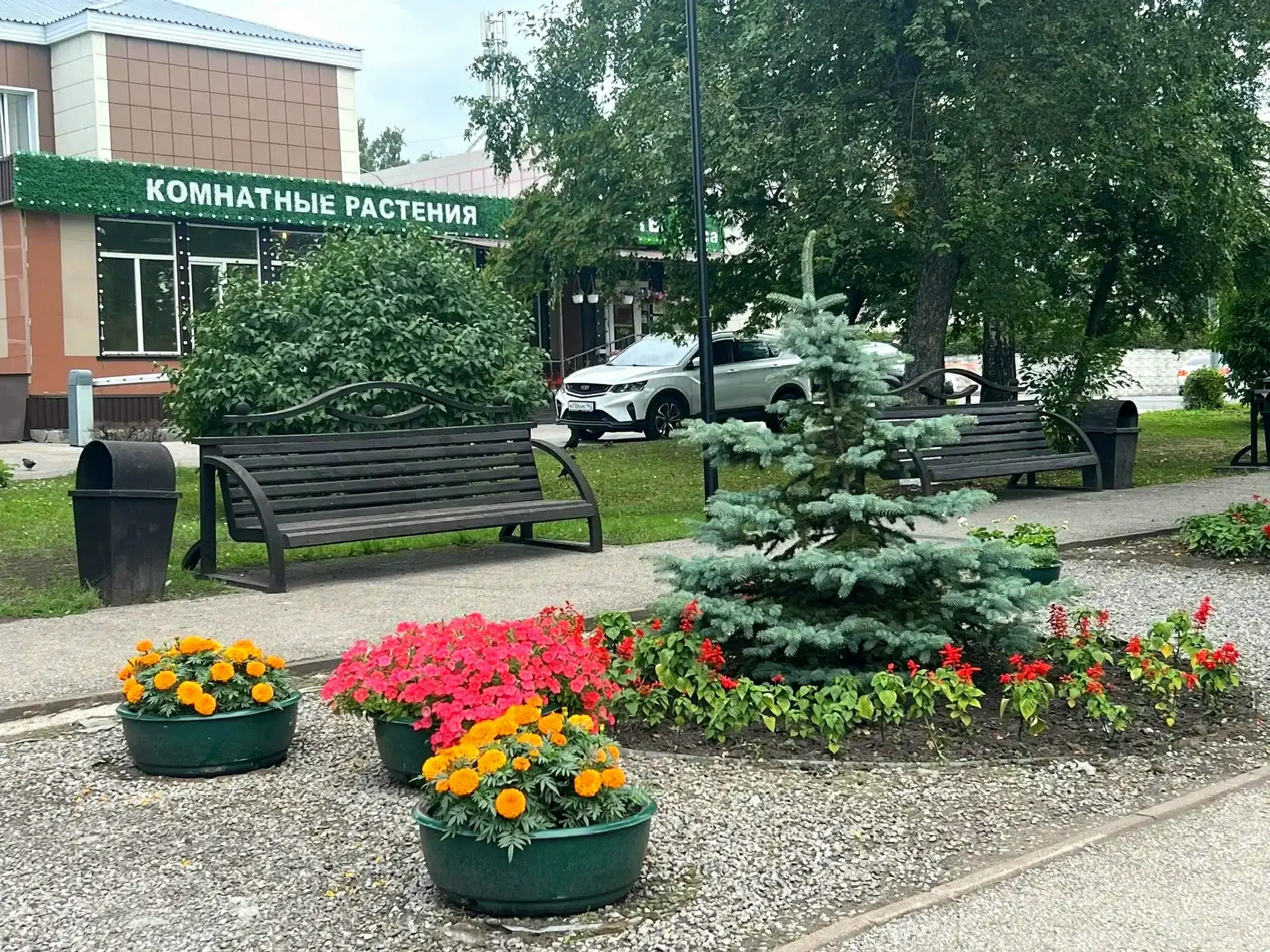 Завершается голосование за объекты благоустройства в Кузбассе. Свой выбор сделали уже б...