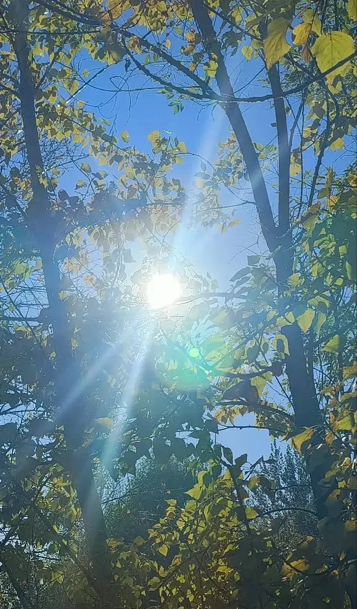 ☀️ Доброе утро! Желаем солнечного настроения!