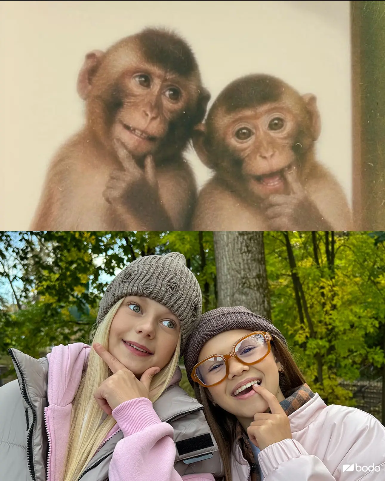 Отправьте тому, с кем хотите повторить такие фото 🐵❤️