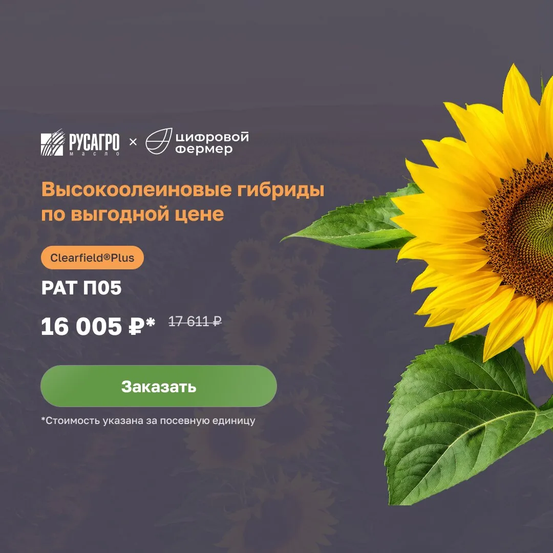 Премиальные семена стали доступнее