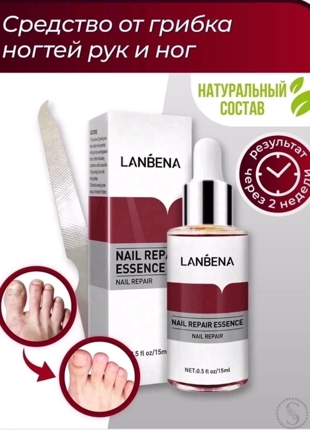 https://vk.com/photo-184814919_492993239
