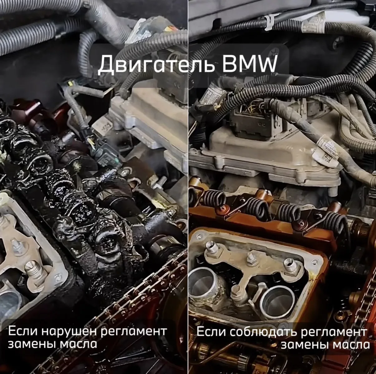 Что произойдет с двигателем BMW, если пренебрегать качеством масла и его заменой?

Пренебрежение рег