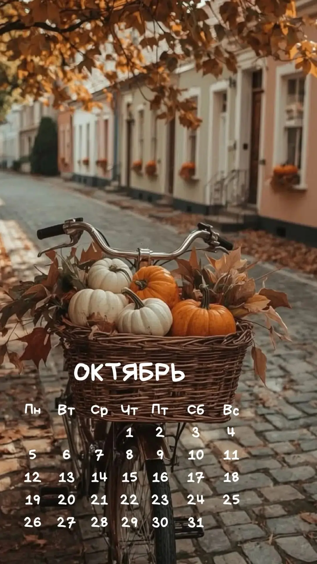 По сложившейся традиции меняем обои на своих  телефончиках 🍂