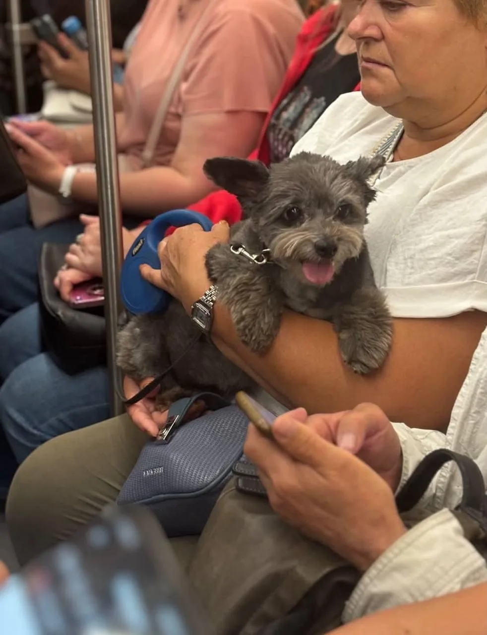 🥰Очень милого пассажира заметили в петербургском метро.